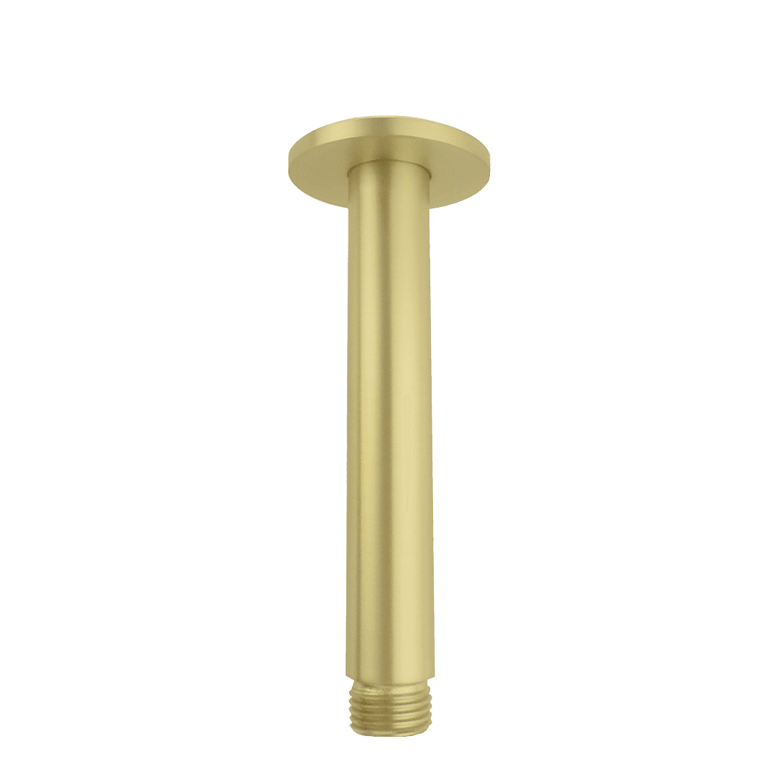 02S1-BG Brushed Gold